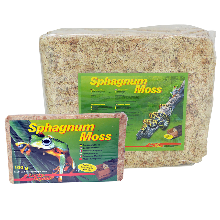 Easimo | Sphagnum Moos Für Pflanzen & Für's Terrarium 100g I Moos Für