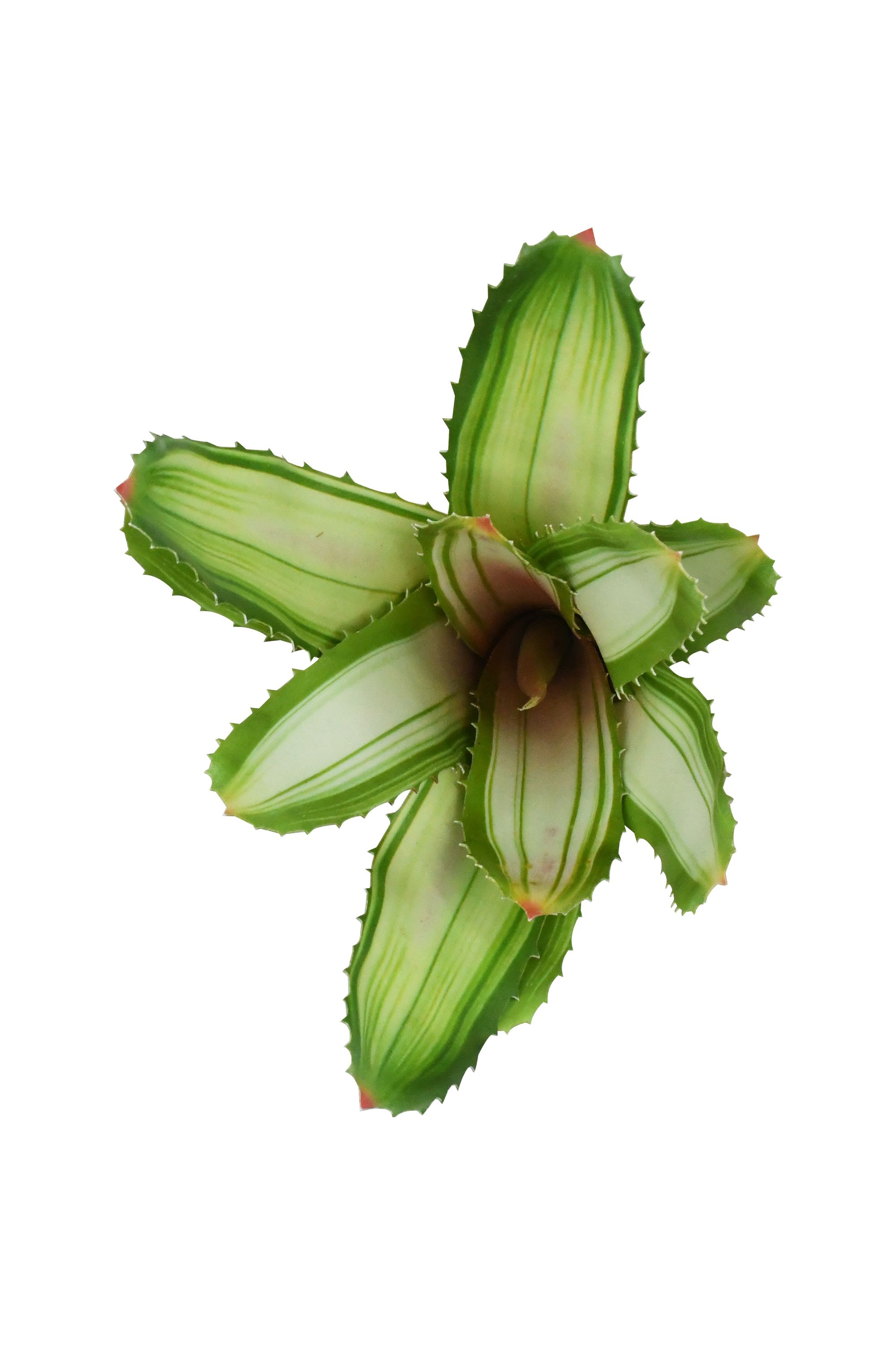 künstliche goldfruchtpalme Künstliche Goldfruchtpalme - Eva | 170 cm