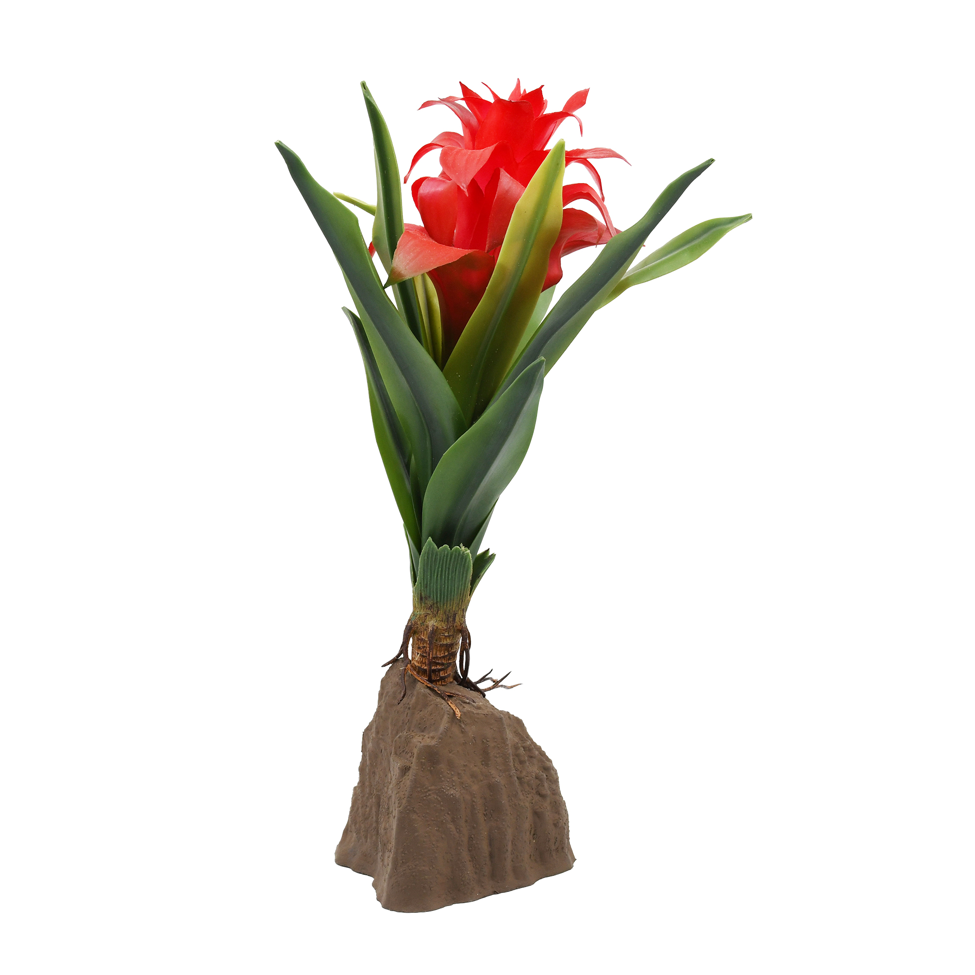 Lucky Reptile Bromelie gro rot
