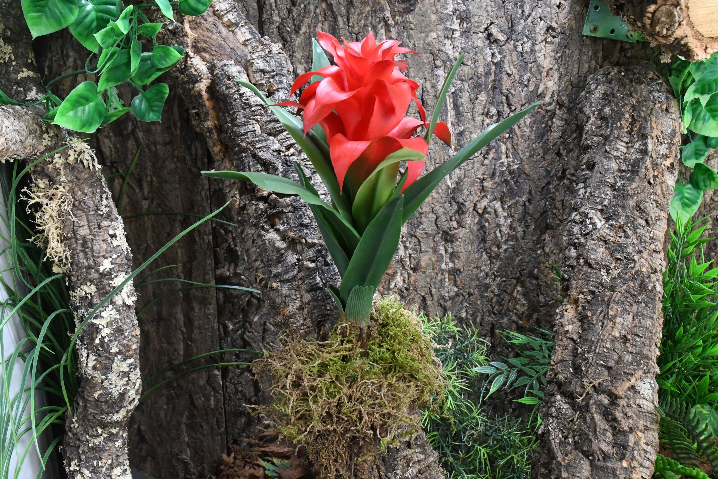 künstliche eukalyptus Schwarzer künstlicher Eukalyptus – 37cm Groß – Jetzt Kaufen – Dein Style 24 main image 1